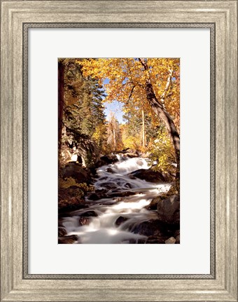 Framed River and Trees Print