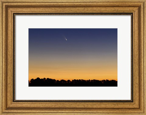 Framed Comet Panstarrs III Print