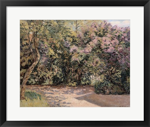 Framed Lilac Trees Print