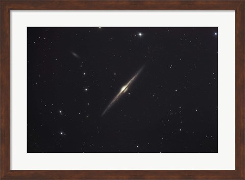 Framed NGC 4565, an edge-on unbarred spiral galaxy in the Constellation Coma Berenices Print