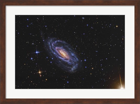 Framed NGC 5033, a spiral galaxy situated in the Constellation of Canes Venatici Print