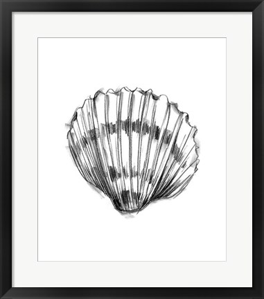 Framed Shell Sketch VI Print