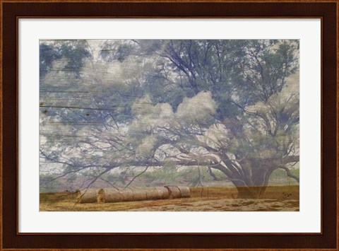 Framed Texas Tree Collage Print