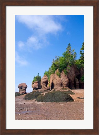 Framed Bay of Fundy Hopewell Rocks Print