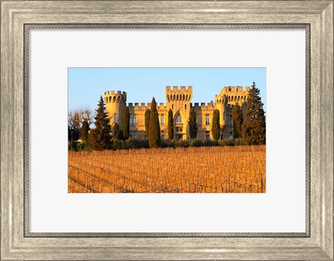 Framed Vineyard with Syrah Vines and Chateau des Fines Roches Print