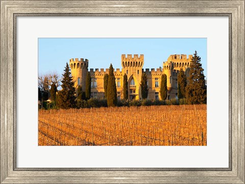 Framed Vineyard with Syrah Vines and Chateau des Fines Roches Print