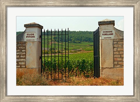 Framed Iron Gate to the Vineyard Clos Pitois Print