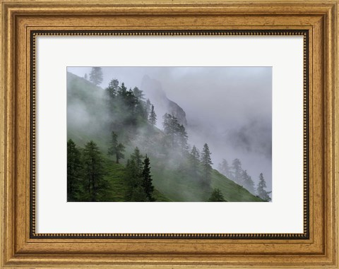 Framed Forest in Tyrol, Austria Print