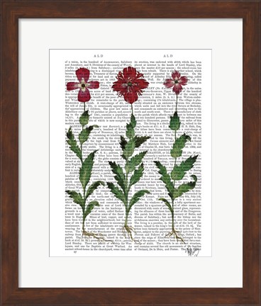 Framed Italian Carnation 1 Print