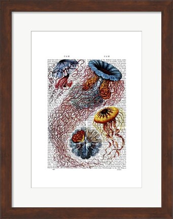 Framed Sea Anemone Print