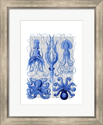 Framed Octopus &amp; Squid Blue Print
