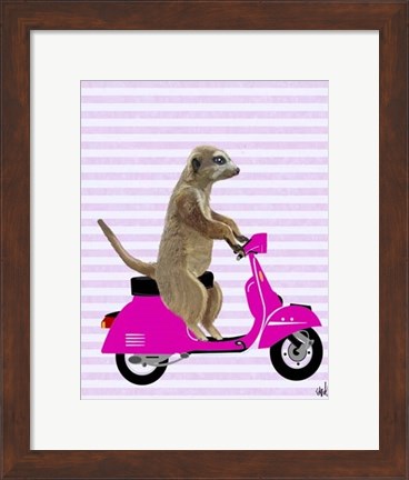 Framed Meerkat on Pink Moped Print