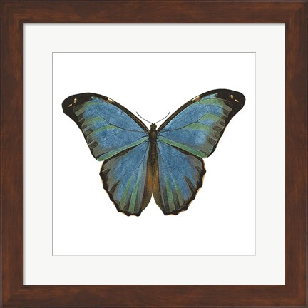 Framed Butterfly Botanical III Print