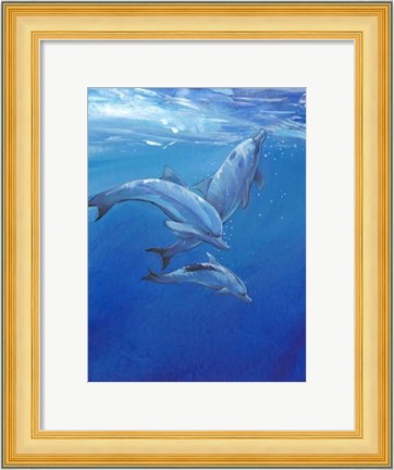 Framed Under Sea Dolphins Print