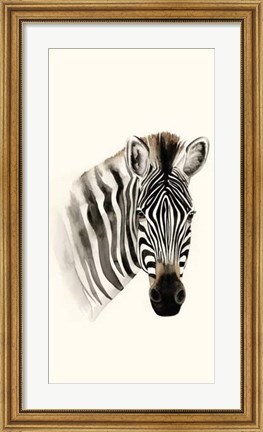 Framed Safari Portrait II Print