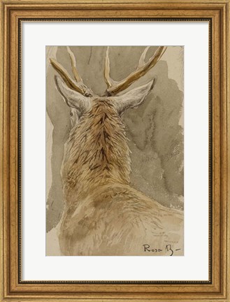 Framed Study of a Deer Print