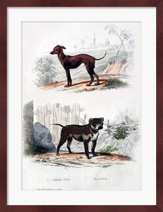 Framed Pair of Dogs II Print