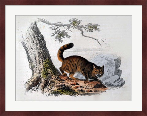 Framed Wild Cat Print