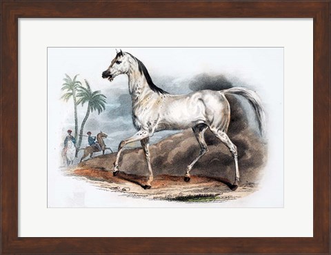 Framed Horse I Print