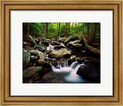 Framed LeConte Creek, Great Smoky Mountains National Park Print