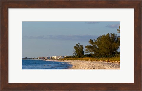 Framed Beach, Naples, Collier County, Florida Print