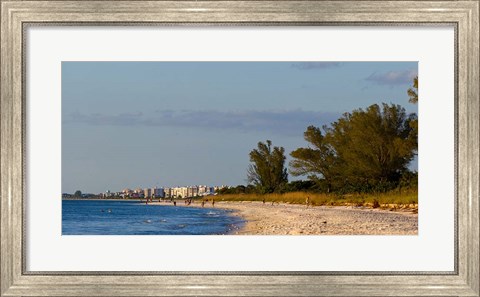 Framed Beach, Naples, Collier County, Florida Print