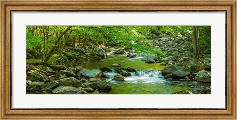 Framed Creek in Great Smoky Mountains National Park, Tennessee Print