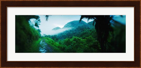 Framed Rainforest in Cayo District, Belize Print