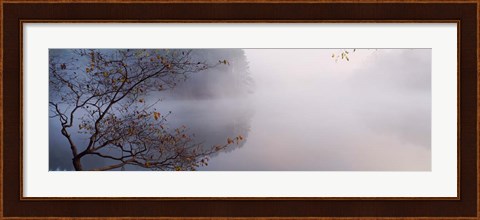 Framed Lake Vesuvius, Wayne National Forest, Ohio, Print