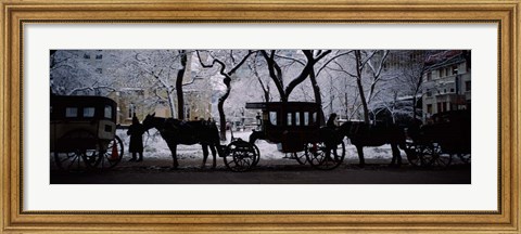 Framed Horse Drawn Carriages, Chicago, Illinois Print