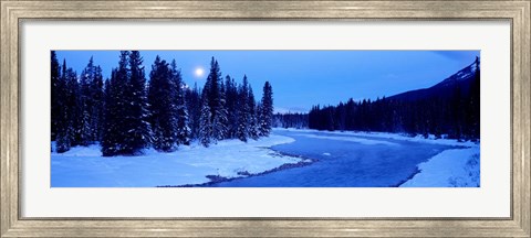 Framed Moon Rising Above The Forest, Banff National Park, Alberta, Canada Print