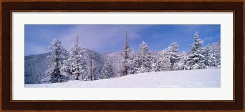Framed Snow Covered Landscape, Colorado Print
