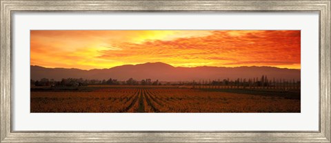 Framed Sunset over Napa Valley Print