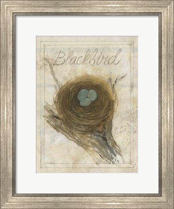 Framed Nest - Blackbird Print