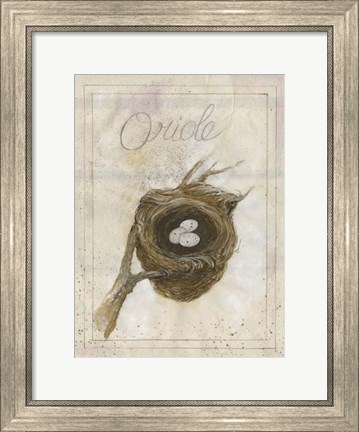 Framed Nest - Oriole Print