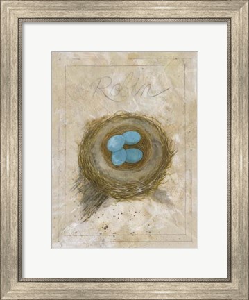 Framed Nest - Robin Print