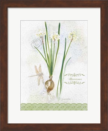 Framed Flower Study on Lace XII Print