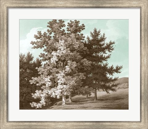 Framed Serene Trees I Print