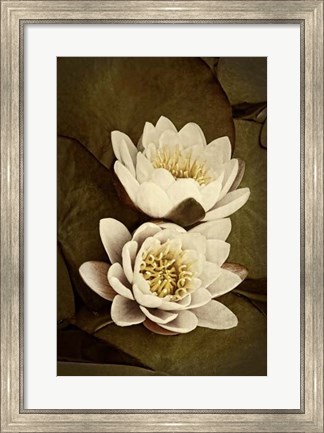 Framed Lily Pad Duo I Print