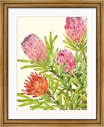 Framed Watercolor Tropical Flowers I Print