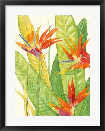 Framed Watercolor Tropical Flowers III Print