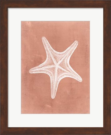 Framed Sealife on Coral IV Print