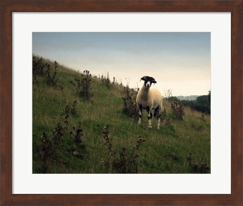 Framed Wooly Friends II Print