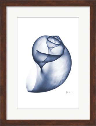 Framed Indigo Water Snail Print