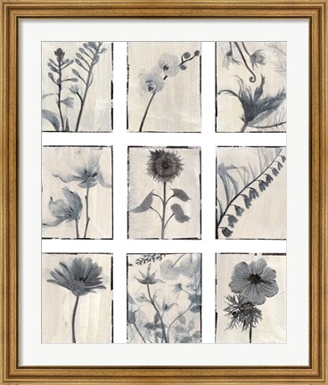 Framed Silk Botanicals Print