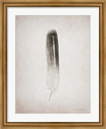 Framed Feather II BW Print