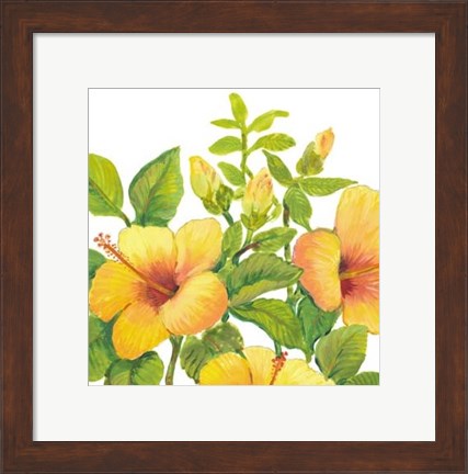 Framed Watercolor Hibiscus I Print