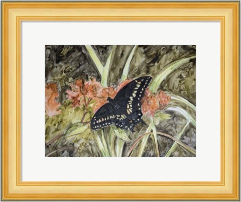 Framed Butterfly in Nature III Print