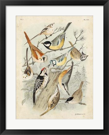 Framed Gathering of Birds II Print