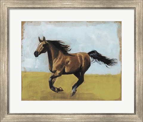 Framed Equestrian Studies II Print